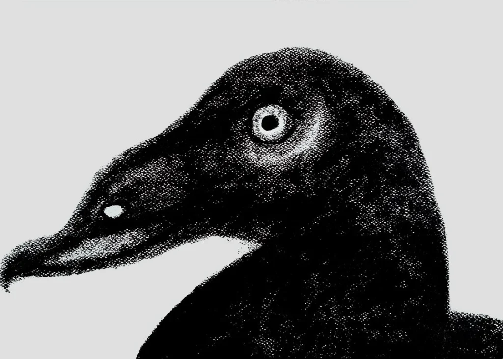 A dramatic black oil pastel painting of a duck by Roi Pajursky. The artwork features intense, expressive textures and a deep contrast between the dark subject and the light grey background, showcasing the raw energy of the Living Canvas series.