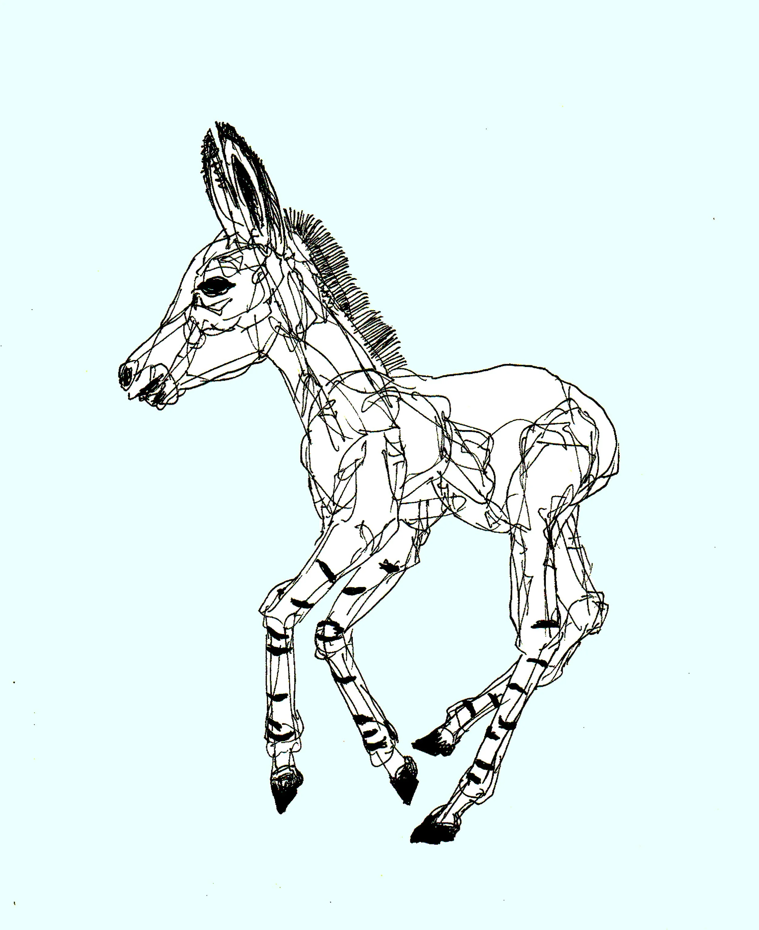  Minimalist Line Art Sketch 