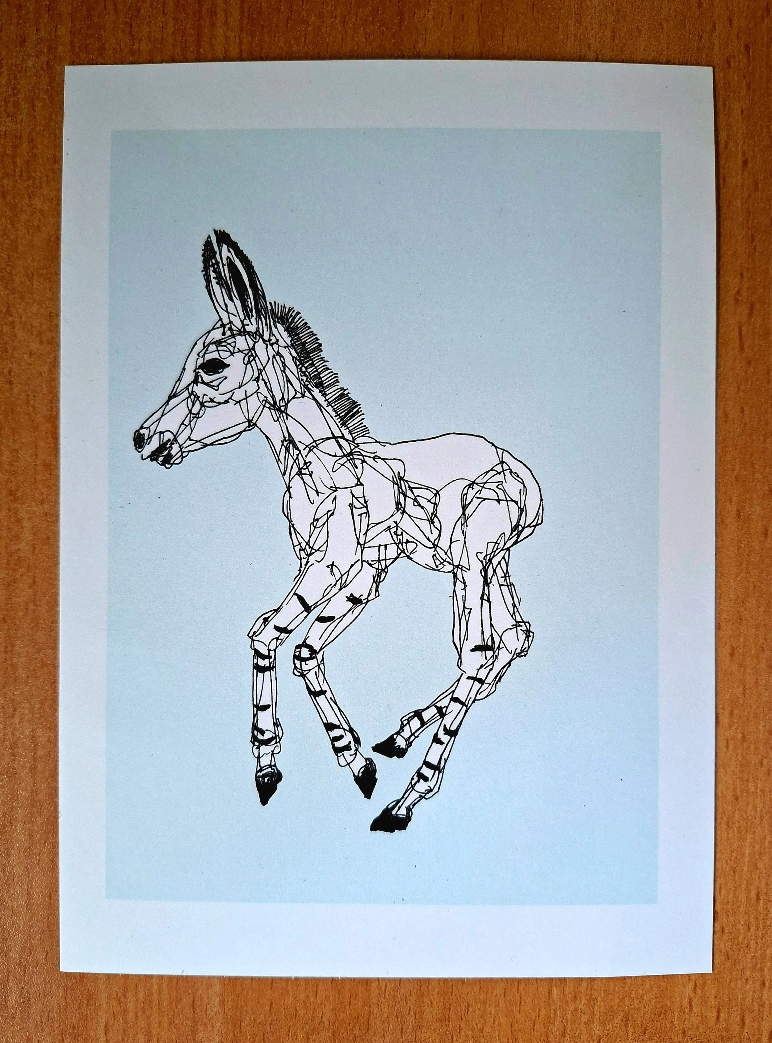  Donkey Sketch Print on Demand View the original piece in my ‘Sketches - Rapidographs’ Gallery 