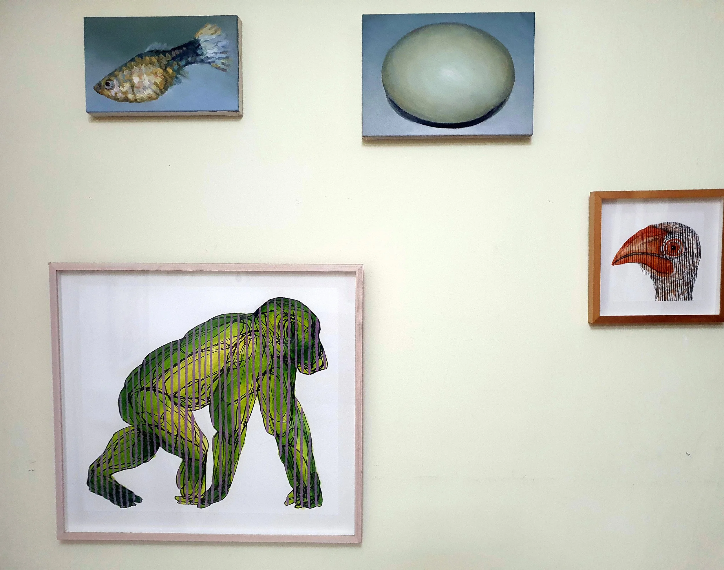 Roi Pajursky - A gallery wall display of original oil paintings in varying sizes. The collection includes a large green gorilla, a small blue bird, a detailed egg study, and a portrait fragment, all framed and arranged on a clean white wall.