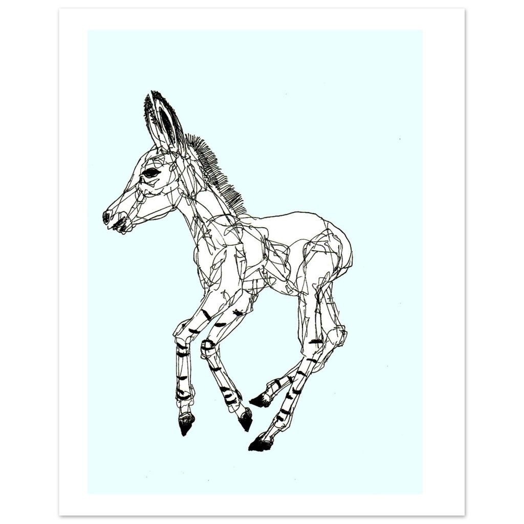 63e47fa6-86fe-4ed8-885a-e1102dbfe5e8