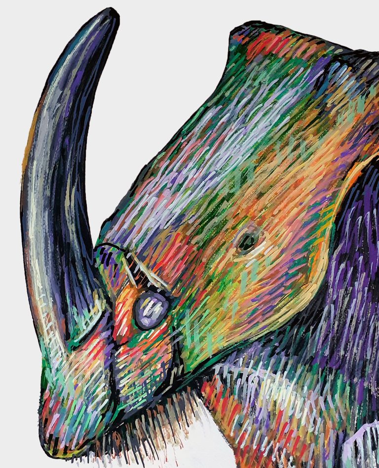 blue-velvet-beetle-illustration-roi-pajursky