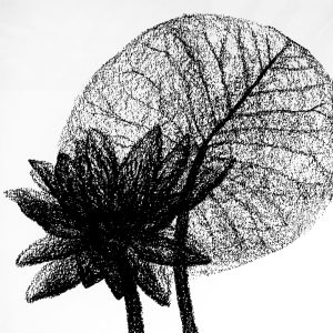 Lotus Study – Original Oil Pastel Painting in Bright Green Frame