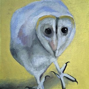 The Curious Owl - Original Oil Painting on Canvas